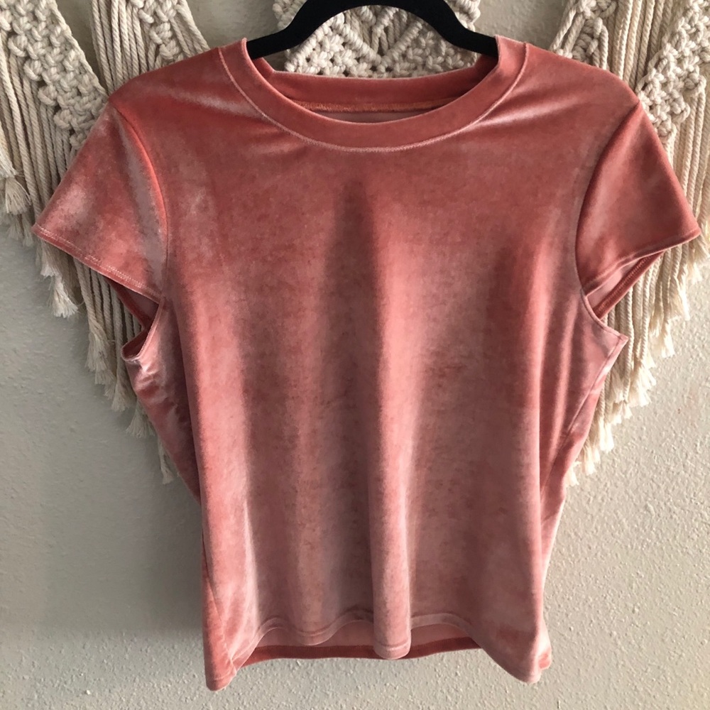 Blush Stretch Velvet Madewell Tee